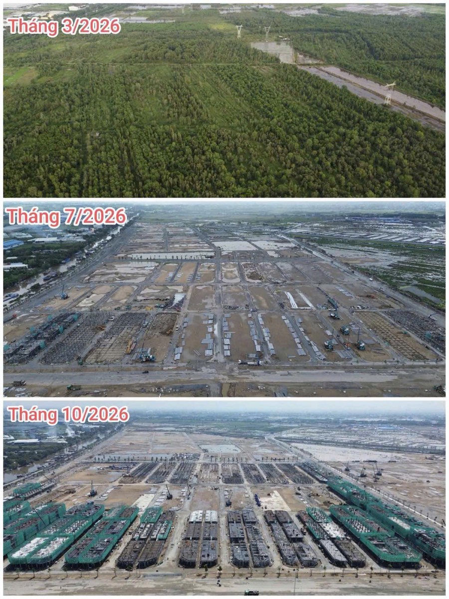 Tiến độ dự án tháng 3, 7 và 10 năm 2026
